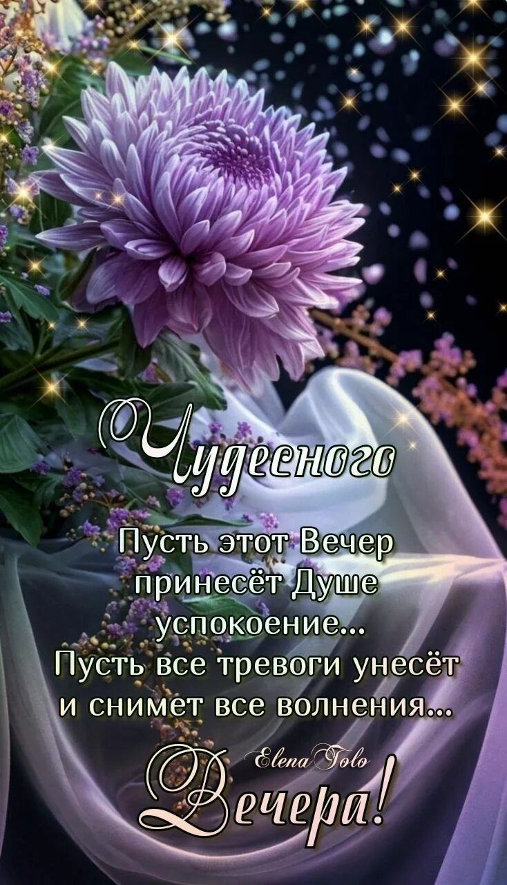 Открытка «Добрый вечер и пожелания»: Чудесного вечера: Красивый цветок и пожелание. Тэги: Добрый вечер красивые…