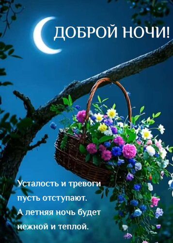 Открытка «Доброй ночи»: Доброй ночи: корзина с цветами на ветке.