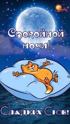 Открытка «Спокойной ночи»: Спокойной ночи: милая открытка со сладким котом. Тэги: Спокойной ночи, с пожеланиями…