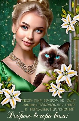 Открытка «Добрый вечер и пожелания»: Добрый вечер: Пожелание спокойствия с котом и цветами. Тэги: Добрый вечер красив…