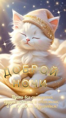 Открытка «Доброй ночи»: Доброй ночи: милый белый котенок и звездное небо.