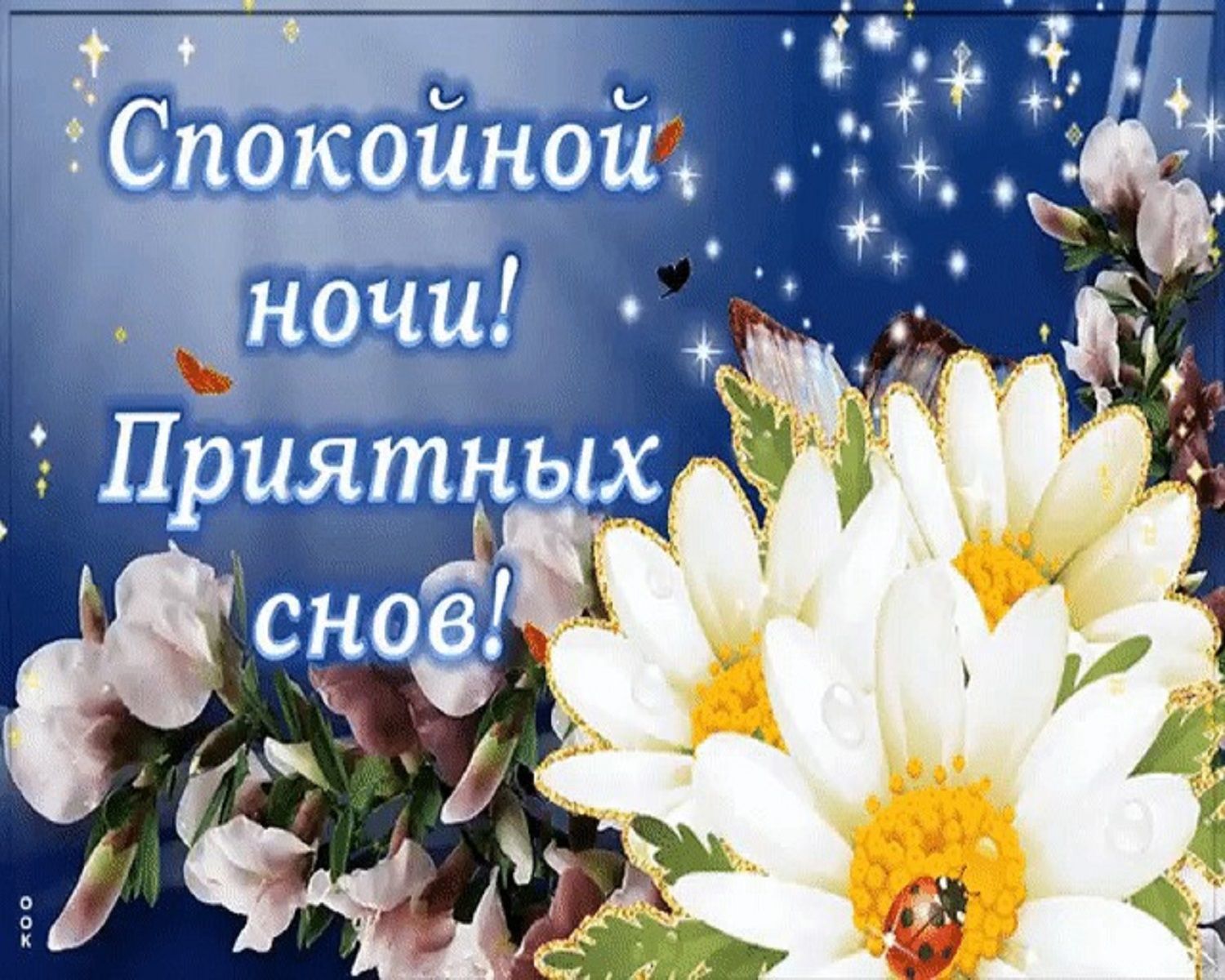 Открытка «Спокойной ночи»: Спокойной ночи и приятных снов: цветочная открытка. Тэги: Спокойной ночи, красивые, Спокой…