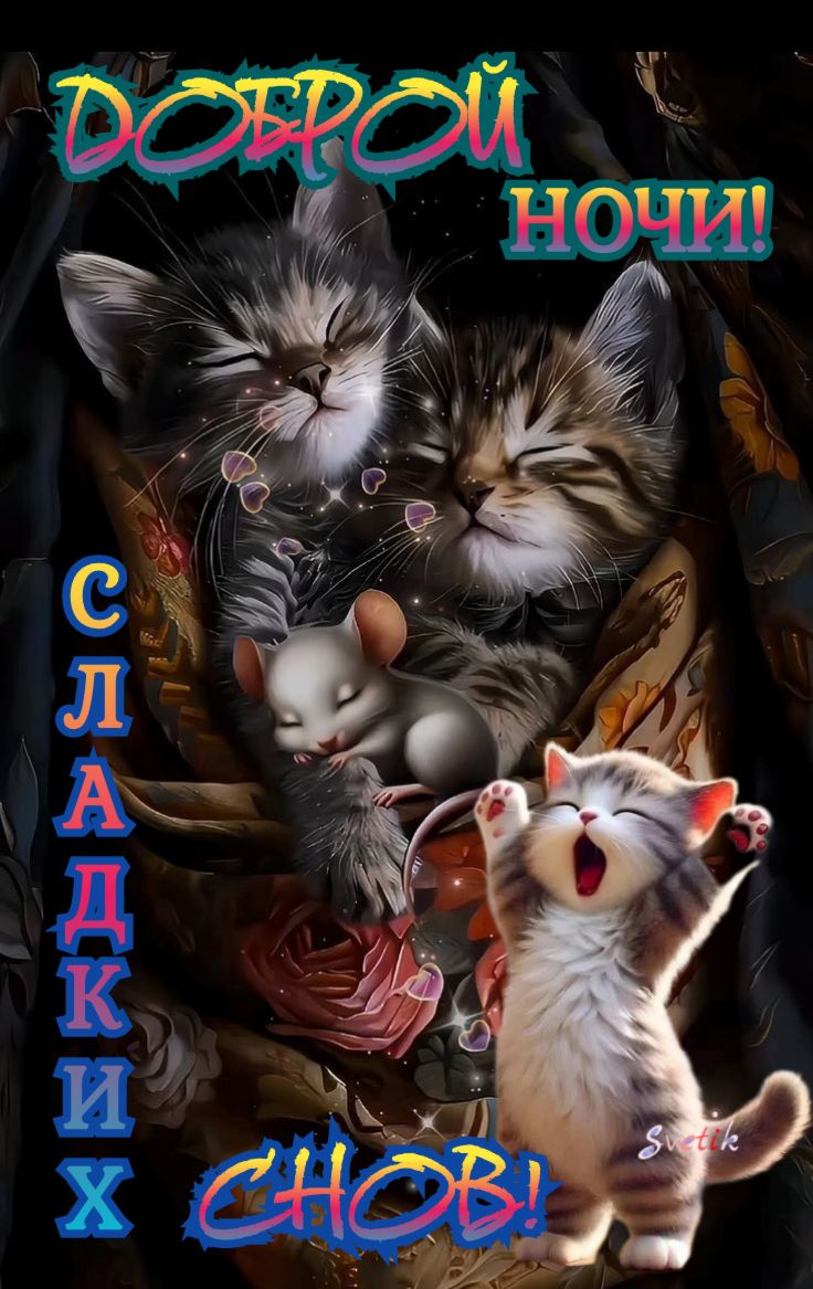 Открытка «Доброй ночи»: Доброй ночи: Милые котята и сладкие сны.