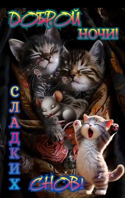 Открытка «Доброй ночи»: Доброй ночи: Милые котята и сладкие сны.
