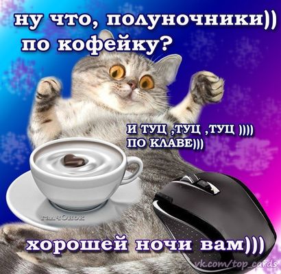 Открытка «Доброй ночи»: Доброй ночи: прикольный кот и чашка кофе. Тэги: Хорошего настроения, пожелание, смешной, кот…