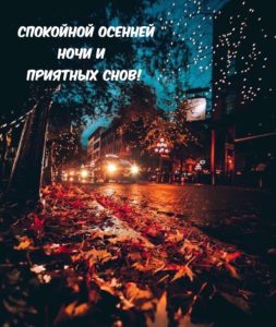 Открытка «Доброй ночи»: Спокойной ночи: «Осенний город и приятных снов». Тэги: Спокойной ночи, проза, Спокойной ночи…