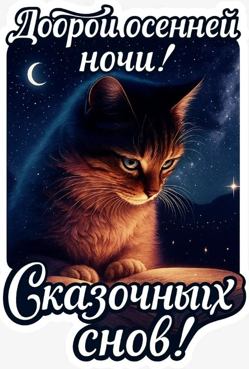 Открытка «Доброй ночи»: Доброй осенней ночи: сказочных снов с котом.