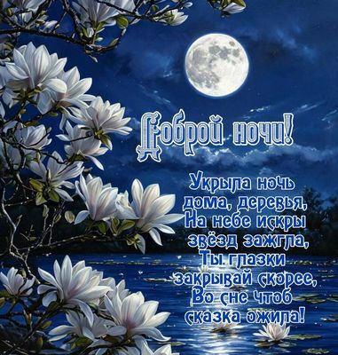 Открытка «Доброй ночи»: Пожелание доброй ночи: Ночной пейзаж с магнолиями.