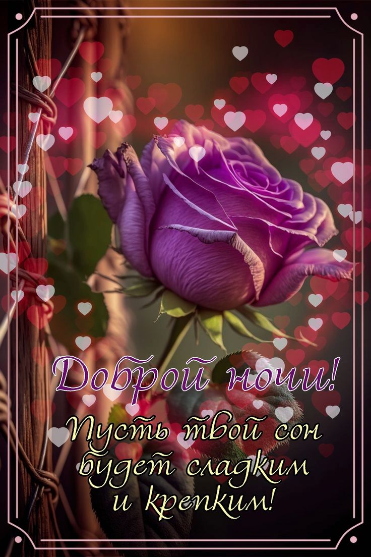 Открытка «Доброй ночи»: Доброй ночи: Стих о сладком сне и прекрасной розе.