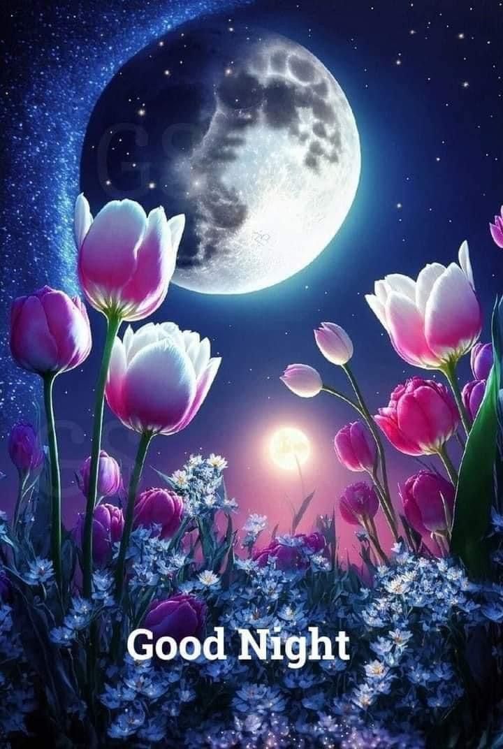 Открытка «Доброй ночи»: Доброй ночи: волшебные тюльпаны под луной.