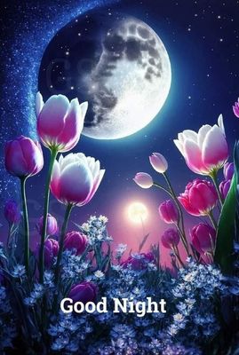 Открытка «Доброй ночи»: Доброй ночи: волшебные тюльпаны под луной.