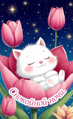 Открытка «Спокойной ночи»: Спокойной ночи: милый кот в розовом тюльпане. Тэги: Спокойной ночи, с пожеланиями, Спокойн…