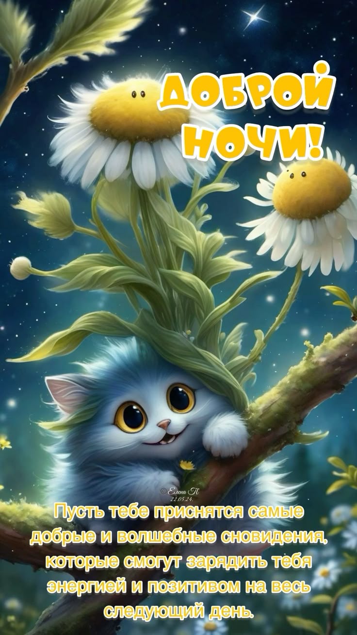 Открытка «Доброй ночи»: Доброй ночи: милый кот и ромашки.