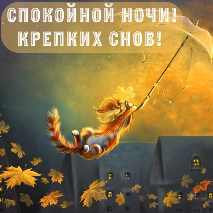 Открытка «Спокойной ночи»: Пожелание спокойной ночи: воздушный полет рыжего кота. Тэги: Спокойной ночи, с пожеланиями…