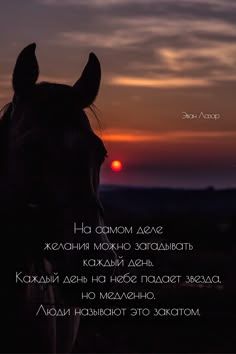 Открытка «Пожелание»: Красивая открытка на добрый вечер «Легенда о закате». Тэги: животное, стих, солнце, красивый…