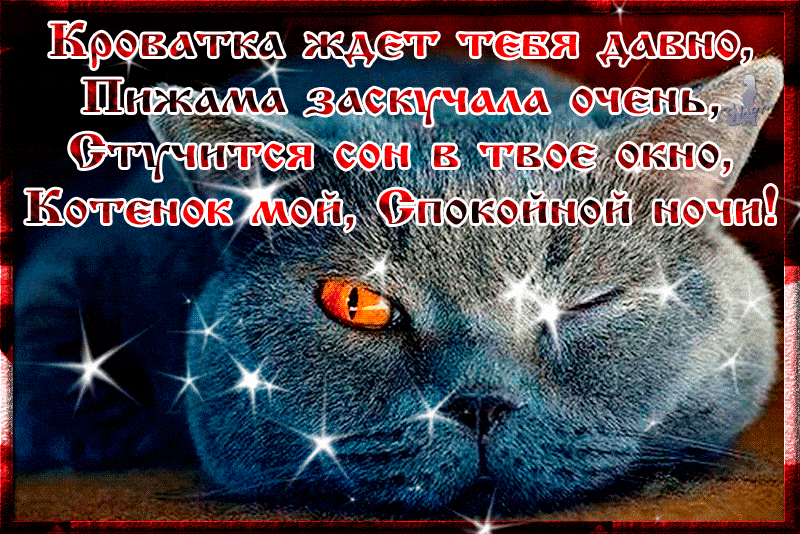 Открытка «Спокойной ночи»: Спокойной ночи: Милый кот со стихами. Тэги: Спокойной ночи, красивые, Спокойной ночи…