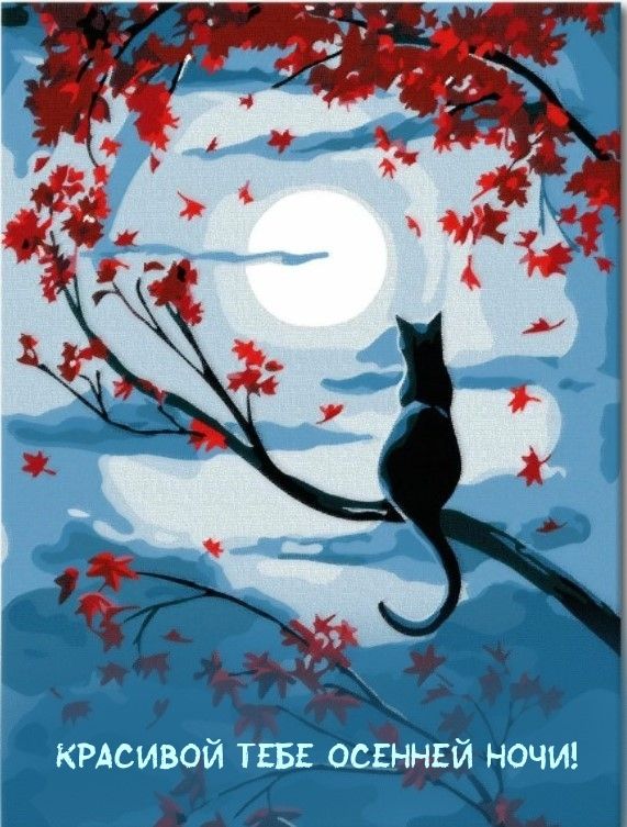 Открытка «Доброй ночи»: Доброй ночи: красивый кот и осенняя луна.