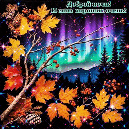 Открытка «Доброй ночи»: Доброй ночи: Северное сияние и осенние листья. Тэги: Спокойной ночи, Спокойной ночи, красивые…