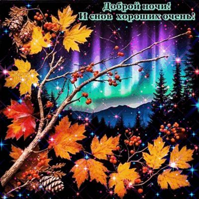 Открытка «Доброй ночи»: Доброй ночи: Северное сияние и осенние листья. Тэги: Спокойной ночи, Спокойной ночи, красивые…