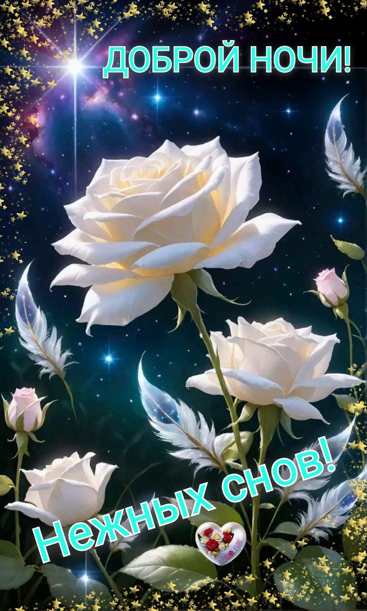 Открытка «Доброй ночи»: Доброй ночи: нежные белые розы и магические перья.