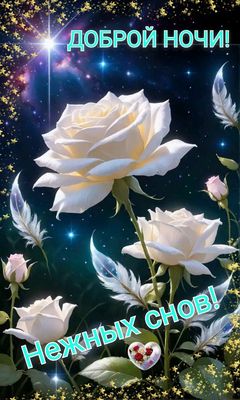 Открытка «Доброй ночи»: Доброй ночи: нежные белые розы и магические перья.