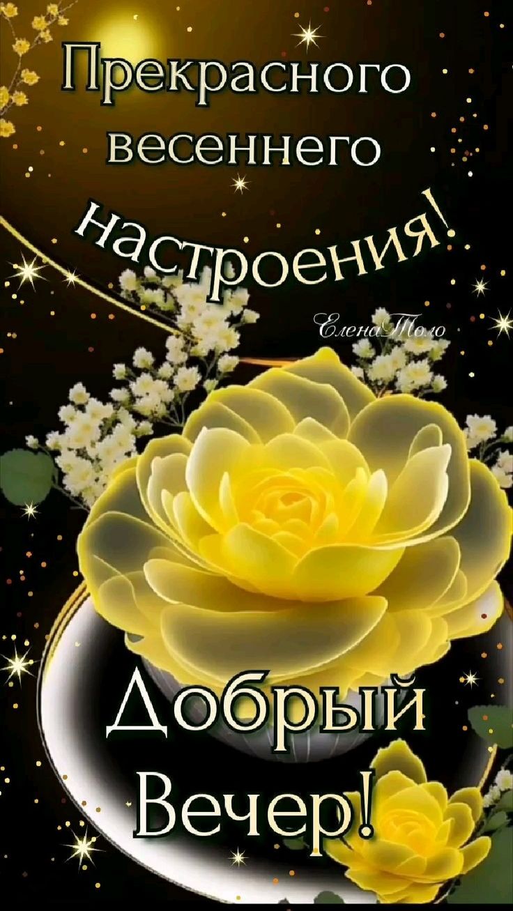 Открытка «Добрый вечер и пожелания»: Добрый вечер: прекрасная открытка с желтой розой. Тэги: Добрый вечер красивые…