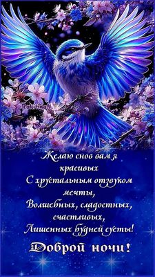Открытка «Доброй ночи»: Доброй ночи: Открытка с волшебной птицей и цветами.
