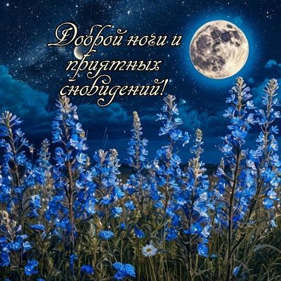 Открытка «Доброй ночи»: Доброй ночи: открытка с луной и синими цветами.
