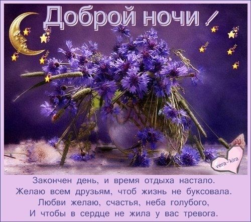 Открытка «Доброй ночи»: Доброй ночи: милый букет васильков для друзей. Тэги: пожелание, надпись, сердце, стих, друзья…