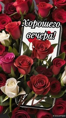 Открытка «Добрый вечер и пожелания»: «Хорошего вечера!» — красивая открытка с розами. Тэги: Добрый вечер красивые…