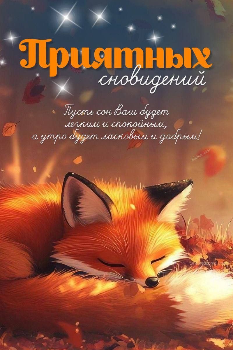 Открытка «Доброй ночи»: Приятных сновидений: милый рисунок лисы.