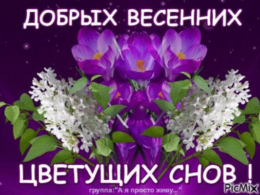 Открытка «Доброй ночи»: Доброй ночи: Добрых весенних снов с цветами.