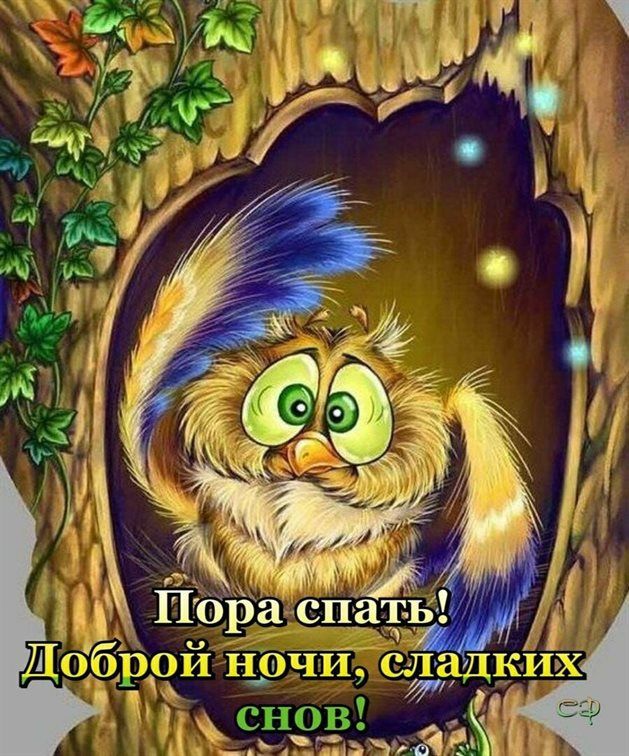 Открытка «Доброй ночи»: Доброй ночи и сладких снов — смешная сова. Тэги: пожелание, смешной, мультяшка, животное…