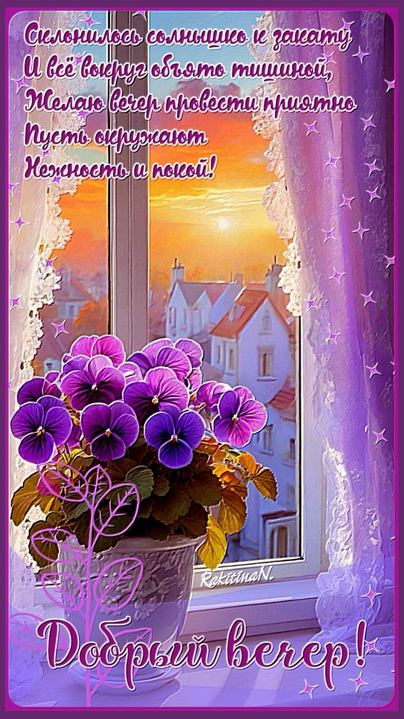 Открытка «Добрый вечер и пожелания»: Добрый вечер: фиолетовые фиалки у окна. Тэги: Добрый вечер красивые, Добрый вечер…