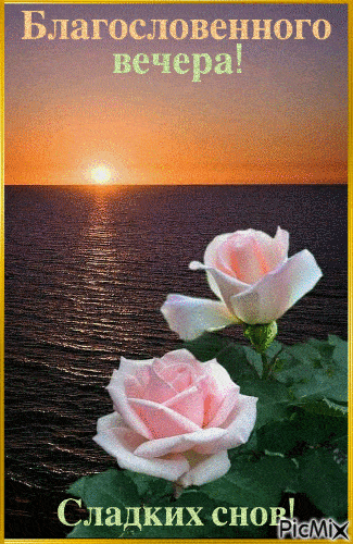 Открытка «Добрый вечер и пожелания»: Благословенного вечера: «Розы на закате». Тэги: Добыий вечер, гифки, Добрый вечер…
