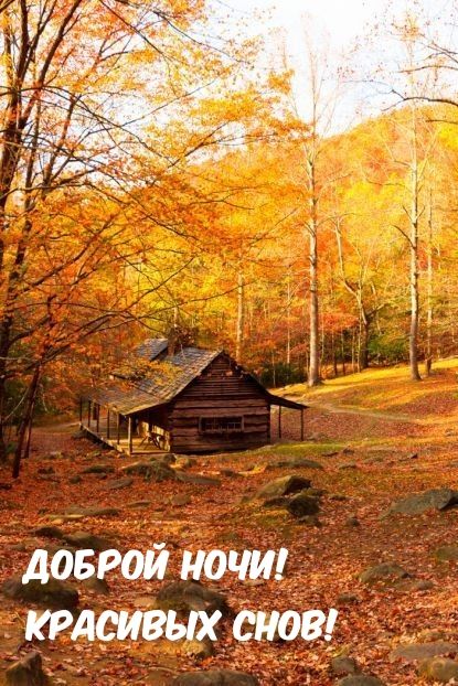 Открытка «Доброй ночи»: Доброй ночи: Уютная избушка в осеннем лесу.