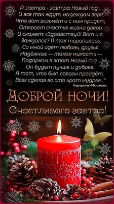 Открытка «Доброй ночи»: Доброй ночи: Счастливое завтра и Новый год. Тэги: пожелание, настроение, зима, стих, ягода…
