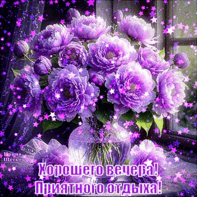 Открытка «Добрый вечер и пожелания»: добрый вечер: фиолетовый букет и пожелание отдыха. Тэги: Добрый вечер красивые…