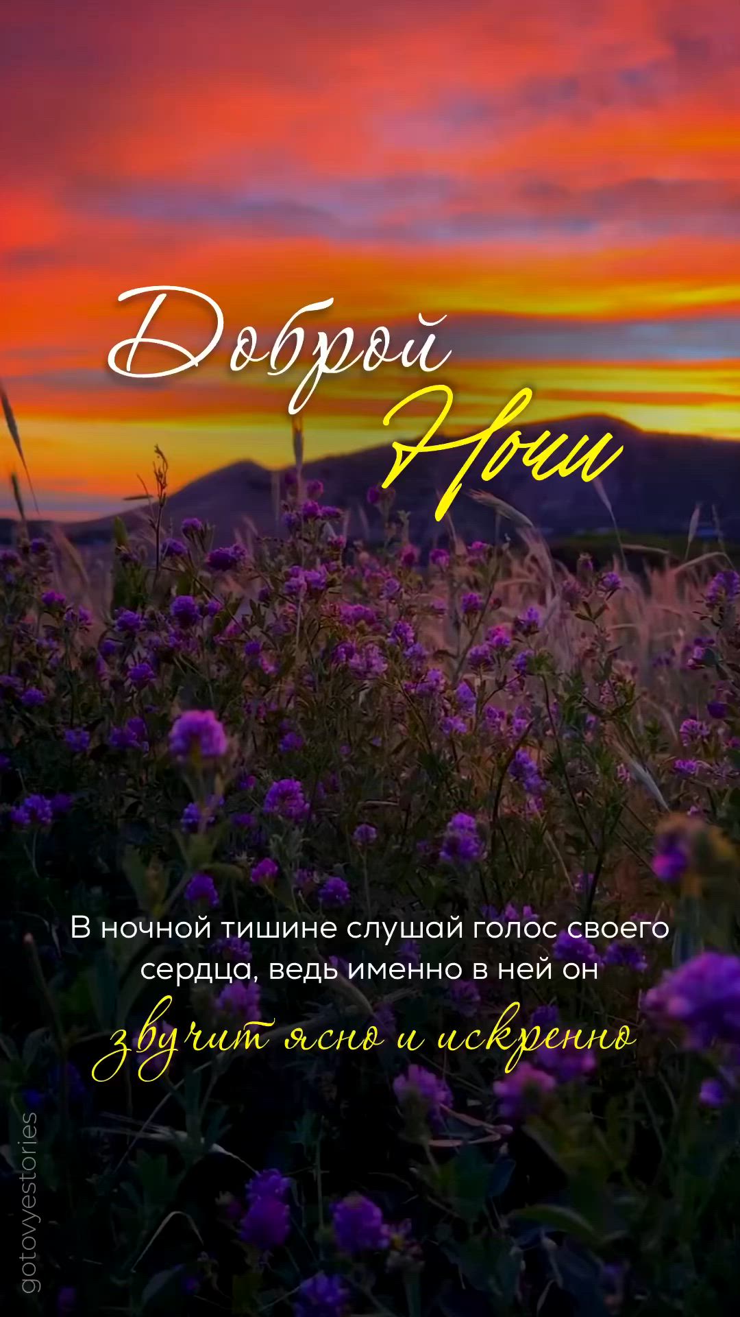 Доброй ночи: красивый пейзаж с цветами