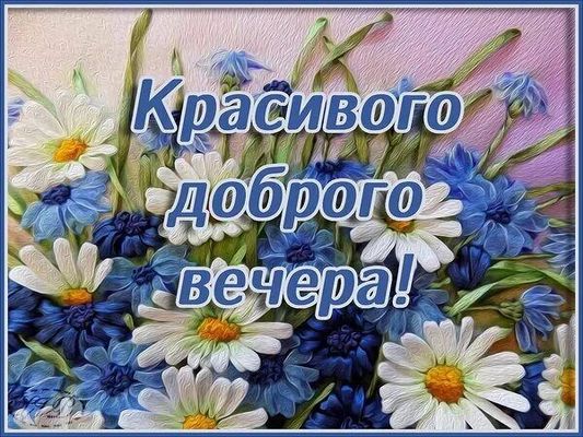 Открытка «Проза»: Красивого доброго вечера! Открытка с цветами. Тэги: Добрый вечер и пожелания, Добрый вечер красивые…
