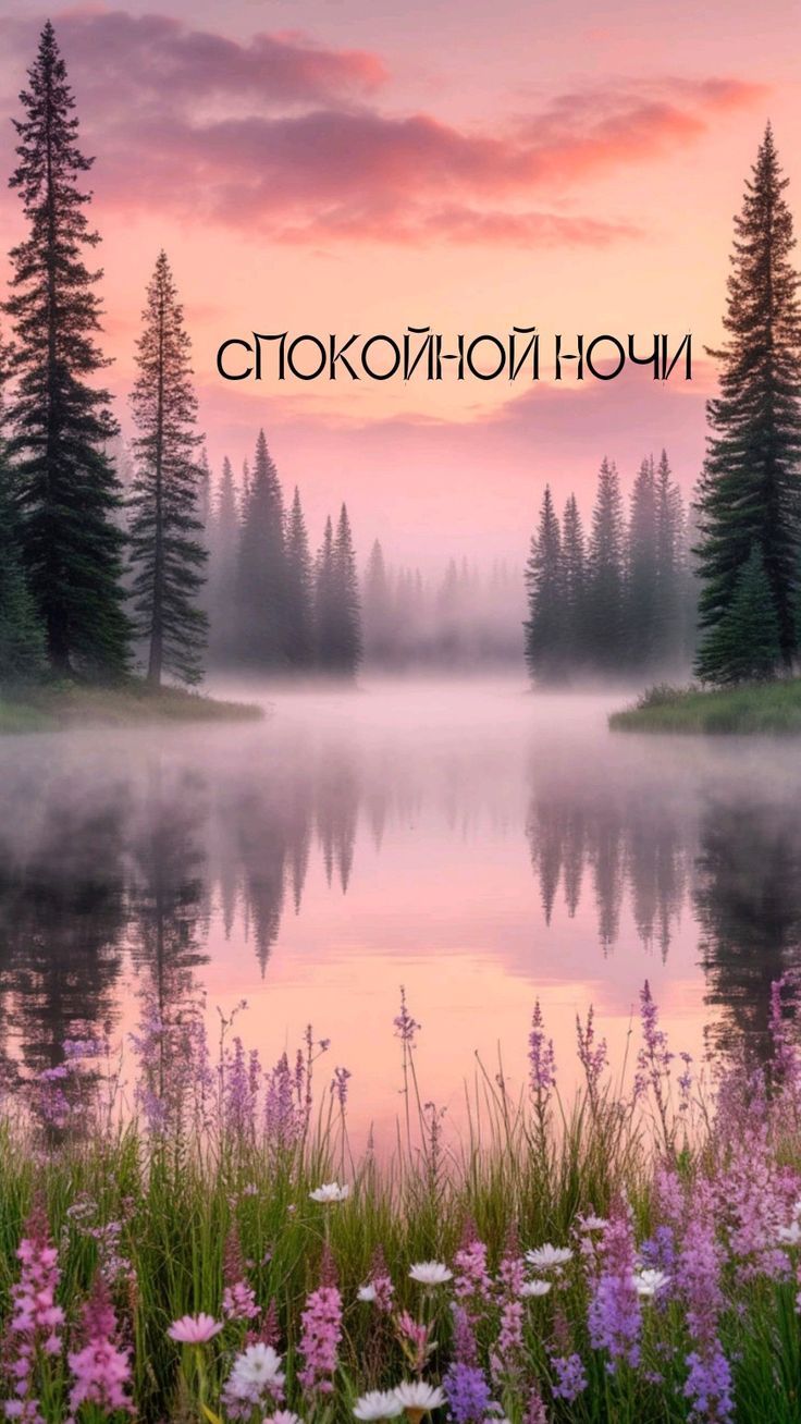 Открытка «Спокойной ночи»: Спокойной ночи: красивый пейзаж с озером. Тэги: пожелание, красивый, елка, небо, цветок…