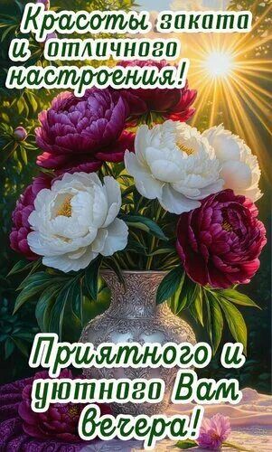 Открытка «Пожелание»: Добрый вечер: красоты заката и пионов. Тэги: отличный, настроение, солнце, красивый, уютный…