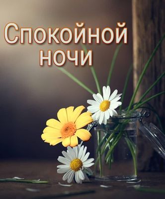 Открытка «Спокойной ночи»: «Спокойной ночи»: открытка с букетом цветов. Тэги: Спокойной ночи, красивые, Спокойной ночи…