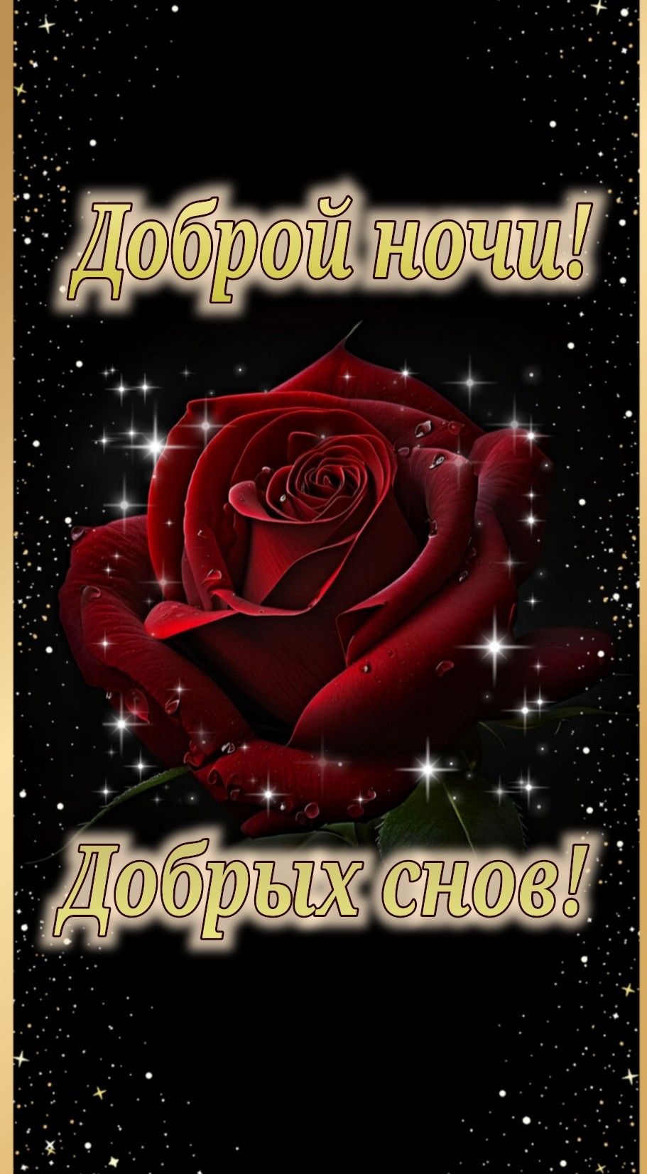 Открытка «Доброй ночи»: Доброй ночи! Красивая открытка с алой розой.