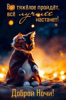 Открытка «Доброй ночи»: Доброй ночи: Милый кот и надежда на лучшее.