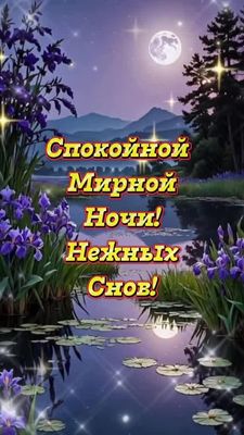 Открытка «Спокойной ночи»: Спокойной ночи: «Волшебный ночной пейзаж с ирисами». Тэги: Спокойной ночи, красивые…