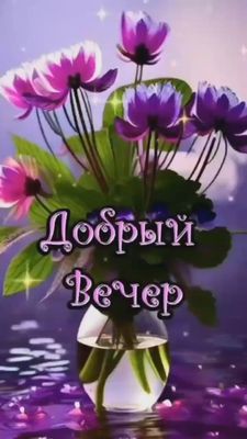 Открытка «Пожелание»: Добрый вечер: красивая открытка с букетом цветов. Тэги: надпись, красивый, нежный, цветок, букет…