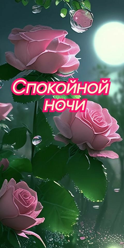 Открытка «Спокойной ночи»: Спокойной ночи: Нежные розовые бутоны при лунном свете. Тэги: Спокойной ночи, красивые…