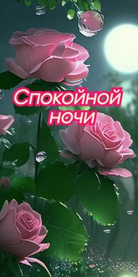 Открытка «Спокойной ночи»: Спокойной ночи: Нежные розовые бутоны при лунном свете. Тэги: Спокойной ночи, красивые…