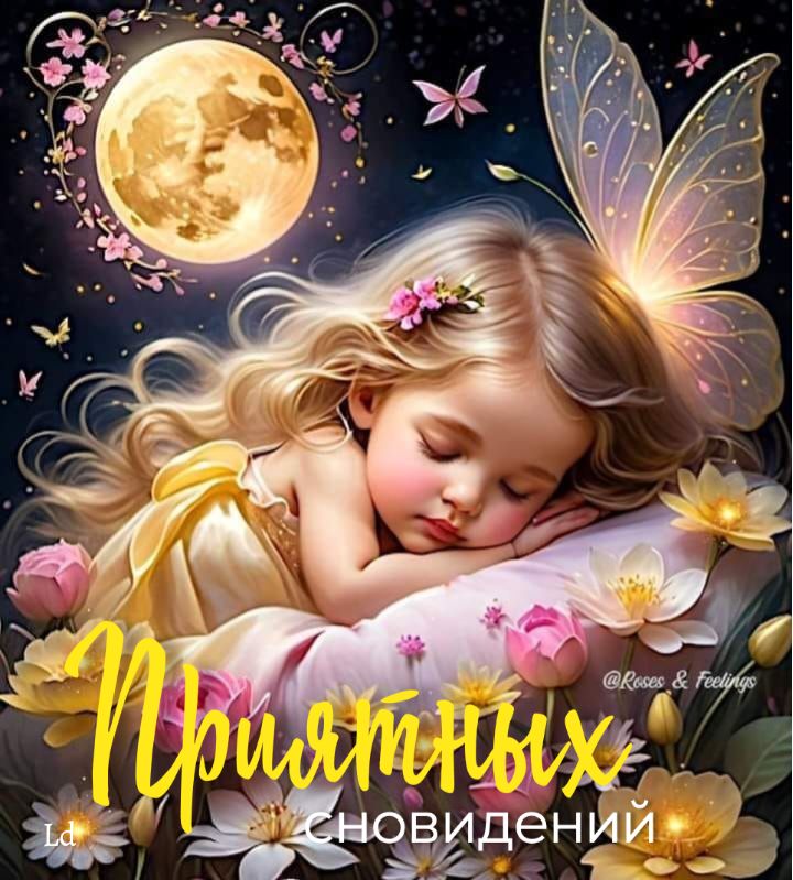 Открытка «Доброй ночи»: Доброй ночи: «Сказочная Фея» спит среди цветов.